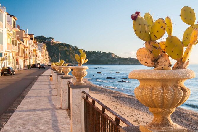 Cooking Class with Seaview with Chef Mimmo - What You’re Really Paying For: Value in Time, Food, and Technique