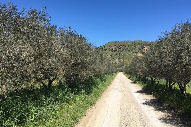 Daily Biking in the Rural Sicily - Lago di Caccamo: Crossing Water and the Dam