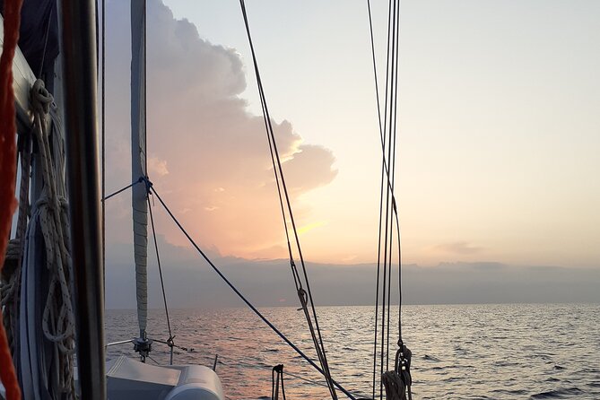 Daily Sailing Tour in Palermo with lunch. - Small-Group Value: What You’re Paying For (and What You’re Not)