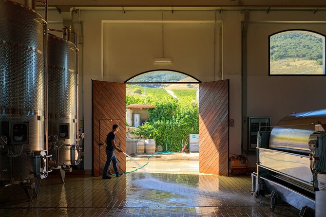 Di Giovanna Winery Tour & 5 Wine Tasting - Price and time: does $57.83 make sense for what you get?
