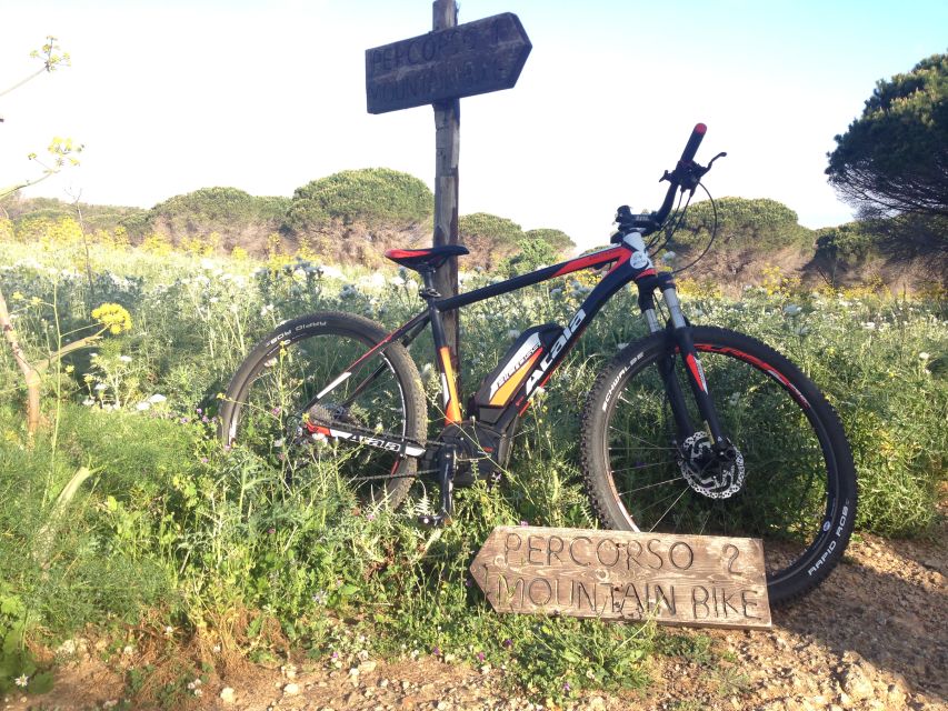 Discover MtPellegrino with a PRIVATE Guided Bike Tour - Santa Rosalia Sanctuary and the Holy Grotto