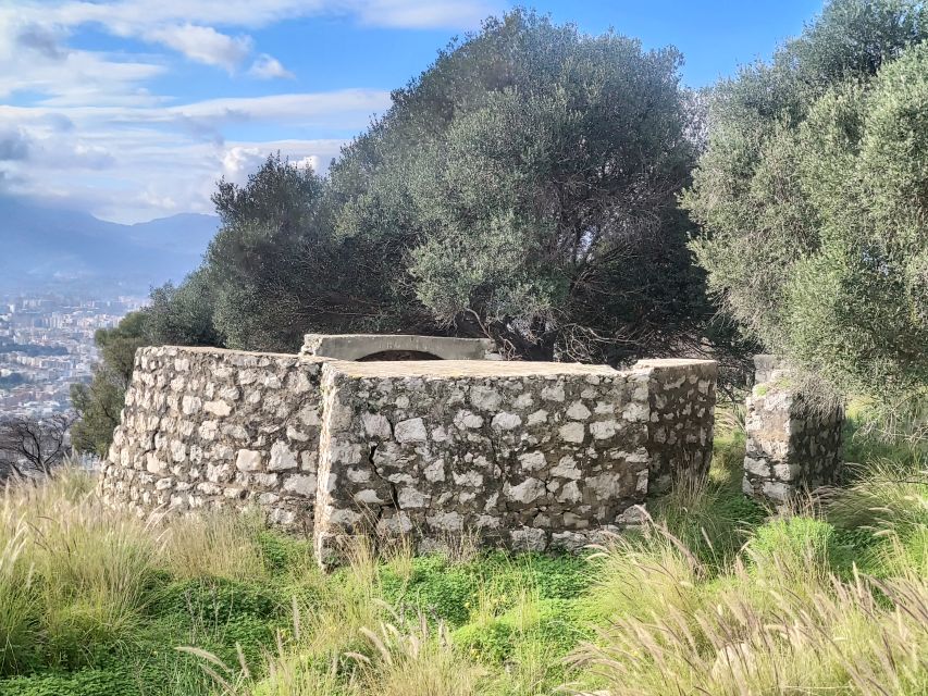 Discover MtPellegrino with a PRIVATE Guided Bike Tour - Private Guiding With Clear Communication (and Real Tailoring)