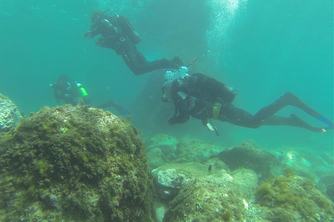 Discover scuba diving - Price and Value: Is $143.79 Worth It?