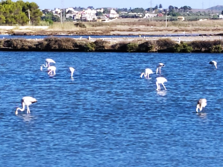Discover Trapani's Saltpans with an E-Bike Tour - Why Trapani’s salt pans feel like real Sicily, not a roadside stop