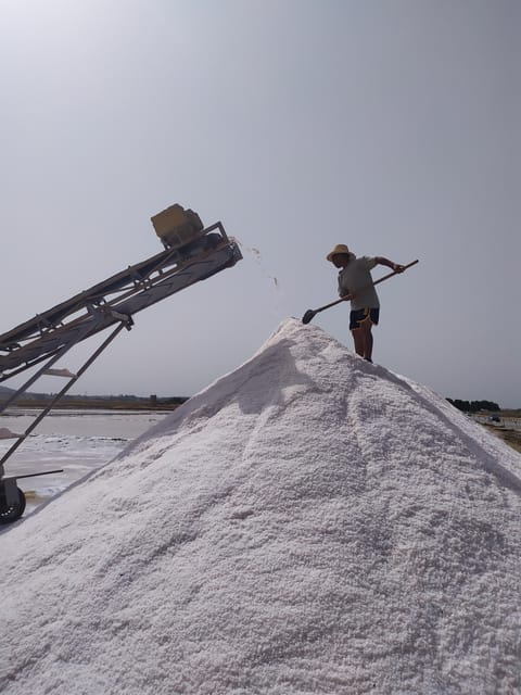 Discover Trapani's Saltpans with an E-Bike Tour - The Saline reserve ride: birds, windmills, and “look closer” moments