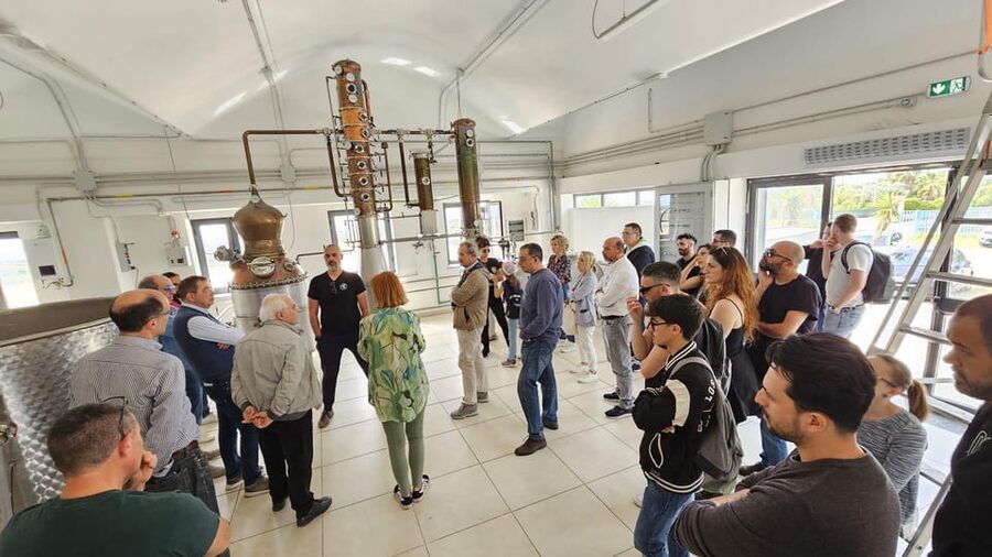 Distilleria Alma- Rum Distilery Guided Tour & Tasting - Price and value: $23 for a focused, teaching-driven tasting