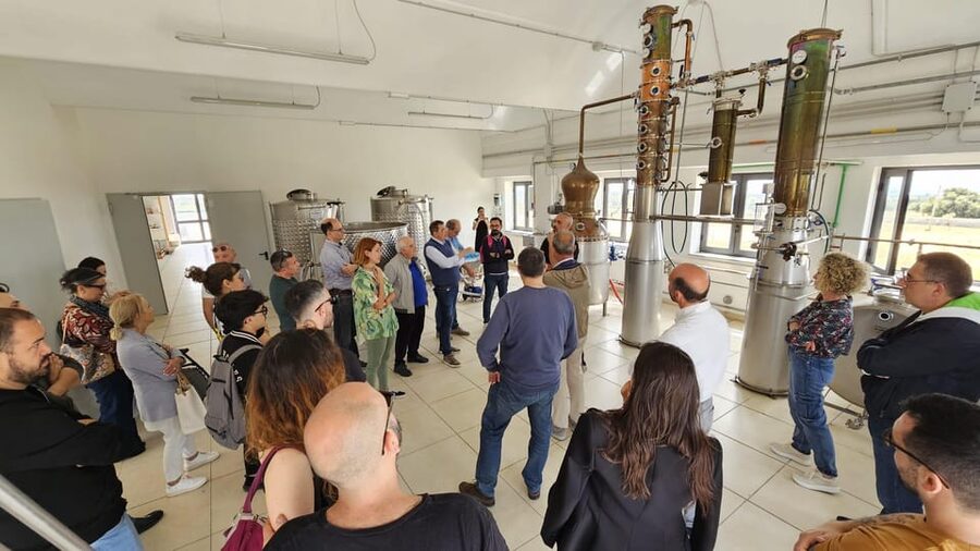 Distilleria Alma- Rum Distilery Guided Tour & Tasting - The 90-minute game plan: from cane fields to a guided tasting