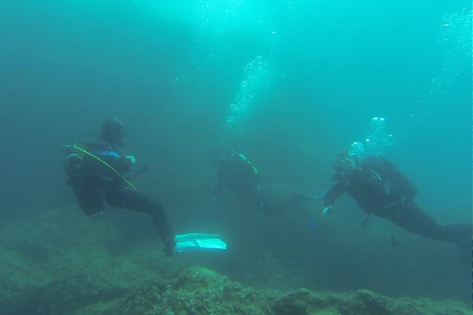 Diving for patented divers - Surface interval on land: snacks, coffee, and a real reset