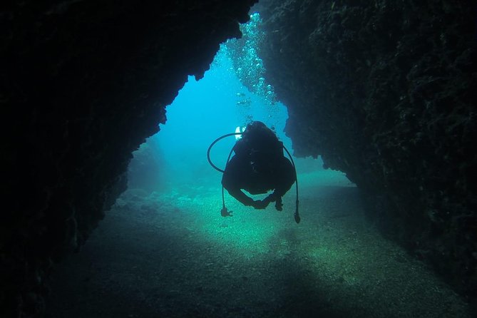 Diving for patented divers - Price and logistics: what you’re really paying for