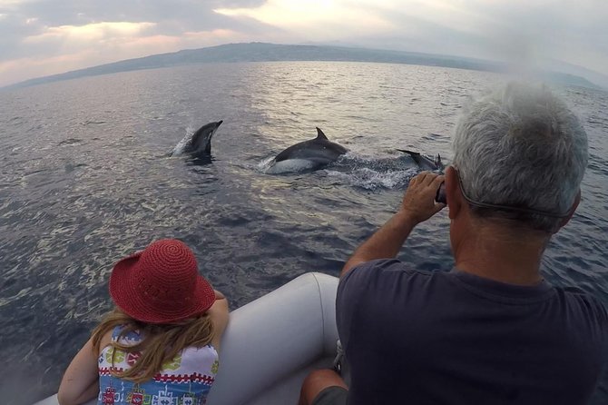 Dolphin Watching & Conservation - Dolphins in the Gulf of Catania - Where the Gulf of Catania Makes Dolphins Feel Real