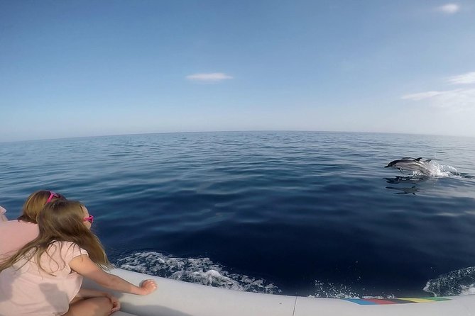 Dolphin Watching & Conservation - Dolphins in the Gulf of Catania - Stop-by-Stop: What Each Coast Stop Adds