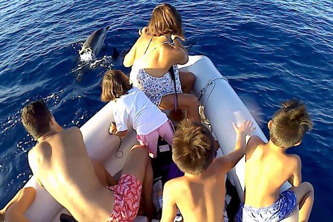 Dolphin Watching & Conservation - Dolphins in the Gulf of Catania - Dolphin Watching With Conservation Rules That Actually Matter