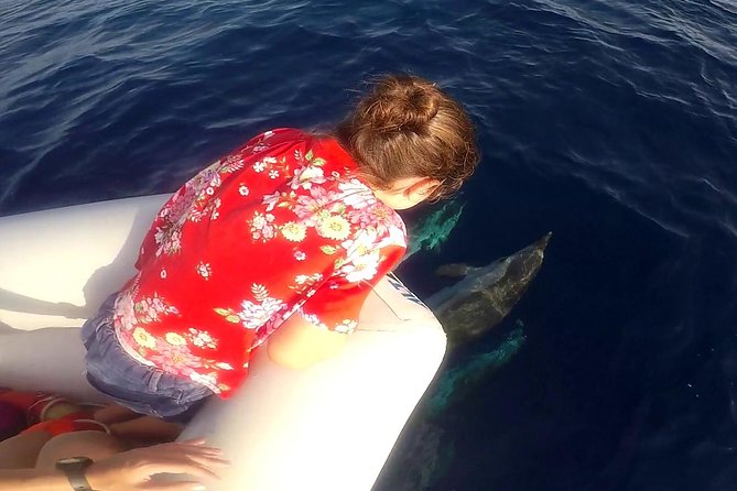 Dolphin Watching & Conservation - Dolphins in the Gulf of Catania - Comfort Tips That Will Save Your Trip