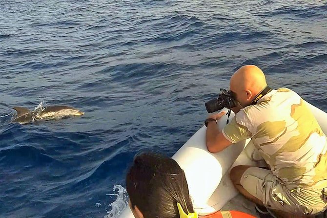Dolphin Watching & Conservation - Dolphins in the Gulf of Catania - Timing: What a 9:00 Start Really Feels Like