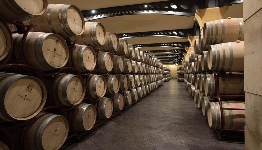 Duca di Salaparuta Winery : Tour Doc Sicily - Why this Sicilia Doc cellar tour feels like good Sicily, fast