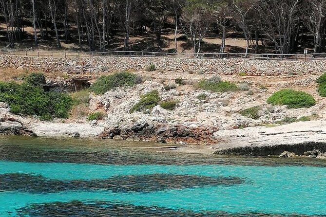 Egadi Islands Boat Tour: Favignana and Levanzo with Lunch - Sunset toast and the return to Trapani
