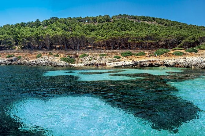 Egadi Sail Boat Tour to Favignana and Levanzo from Trapani - Price and Value: Is $139.13 Worth It?