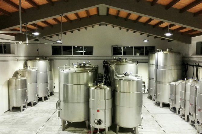 Embark on a Sicilian Wine Journey - Key Points to Know Before You Go