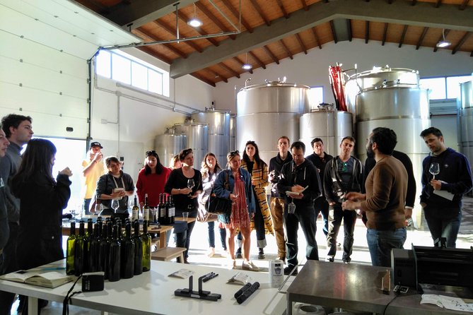 Embark on a Sicilian Wine Journey - The Pace, Timing, and Getting There (Meet at SS119)