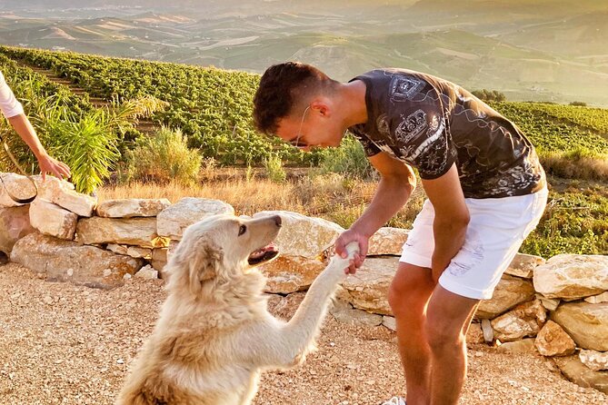 Embark on a Sicilian Wine Journey - English-Friendly and First-Timer Safe