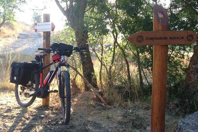 eMTB Rental in Palermo - The bike specs that matter: Bosch power plus MTB comfort