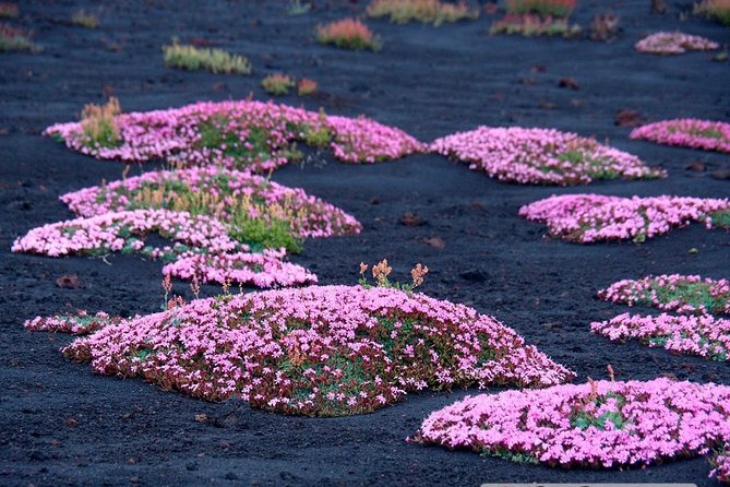Etna 3000 from the south with Cable Car and trekking – Morning or Afternoon - Valle del Bove finale: lava fronts from 2018 and a panoramic payoff