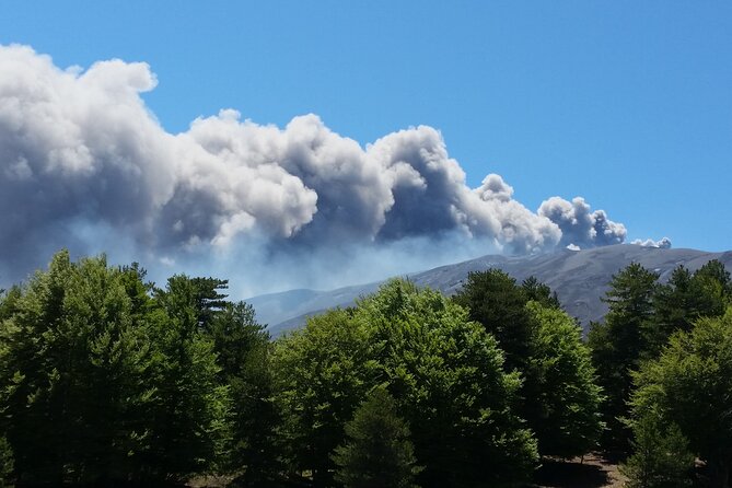Etna & Alcantara - How to time it from Catania: meeting point and pickup choices