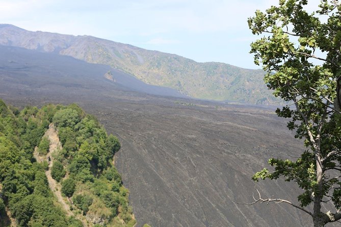 Etna & Alcantara Tour Experience - Price and what $191.58 buys you in a practical sense