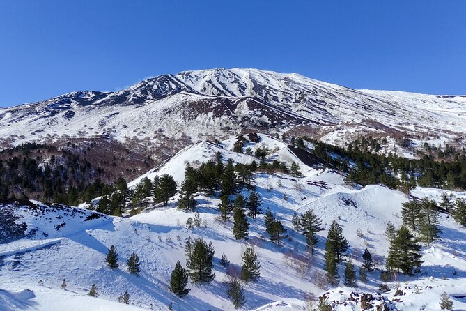 Etna and Alcantara Gorges Excursion - Timing and transportation: what a 6–8 hour day really feels like