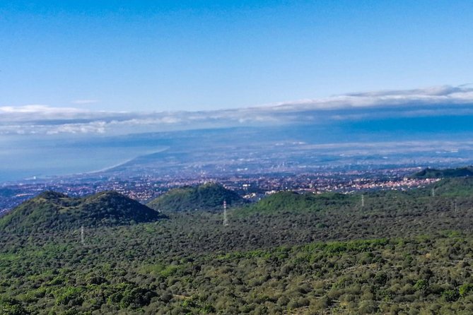 Etna and Wines Tour - From Catania to Etna: why this tour is a smart 7-hour pick