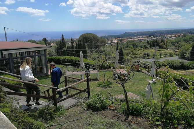 Etna and Wines Tour - Colata Lavica 1992: seeing a lava front tied to a place (and a village)
