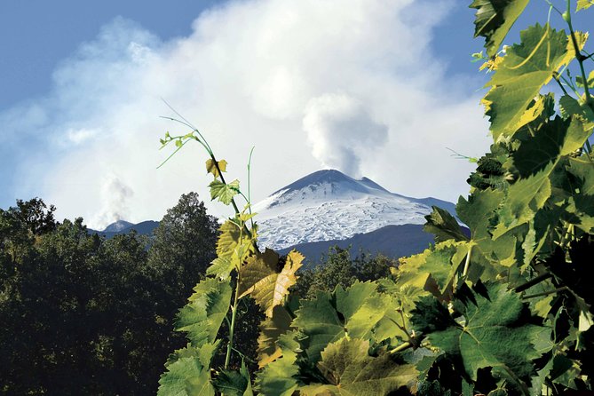 Etna and Wines Tour - Mount Etna stop: panoramic roads, lava flows, and the cave with helmets