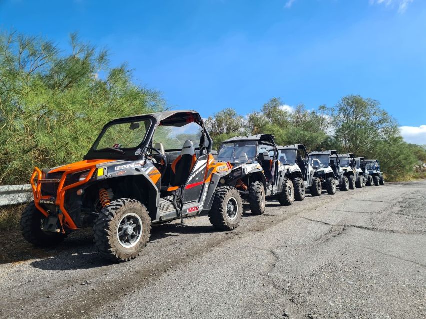 Etna Buggy 4x4 Tour - Who should book this buggy tour (and who should skip)