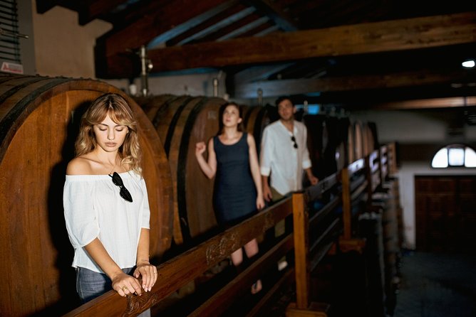 Etna Countryside Food & Wine Lovers Tour (Small Group or Private) - Best for: who this tour fits, and who might prefer something else