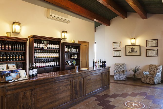 Etna DOC & Organic Wine tasting and tour of the 1815 historic winery - The tasting: 4 Etna DOC organic wines with a local food spread