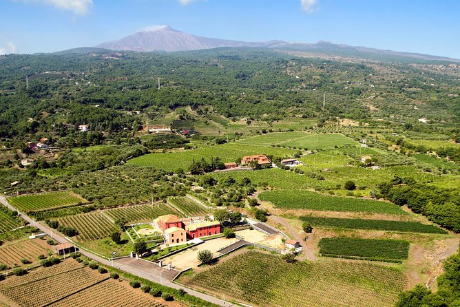 Etna DOC & Organic Wine tasting and tour of the 1815 historic winery - Lunch vibes without the big-city fuss
