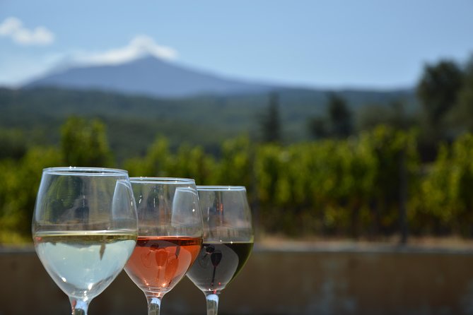 Etna DOC & Organic Wine tasting and tour of the 1815 historic winery - The 1815 winery and the underground cellar tour