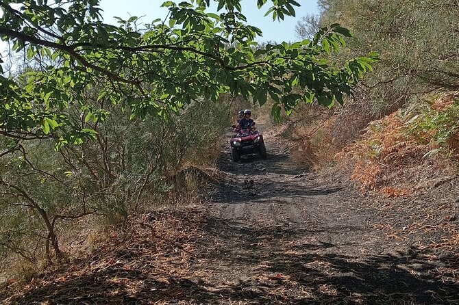 Etna Easy Tour - Entering the lava quarry: the off-road section and why it matters