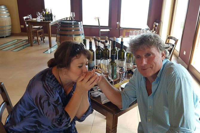 Etna Easy & Winery from Messina, Catania or Taormina/G. Naxos - A Private Etna and Winery Day With Pickup From Your Door