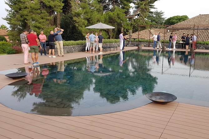 Etna Easy & Winery from Messina, Catania or Taormina/G. Naxos - English-Speaking Guidance and a Private Group Pace