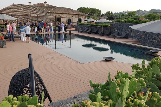 Etna Easy & Winery from Messina, Catania or Taormina/G. Naxos - Who Should Book This Etna Easy & Winery Tour