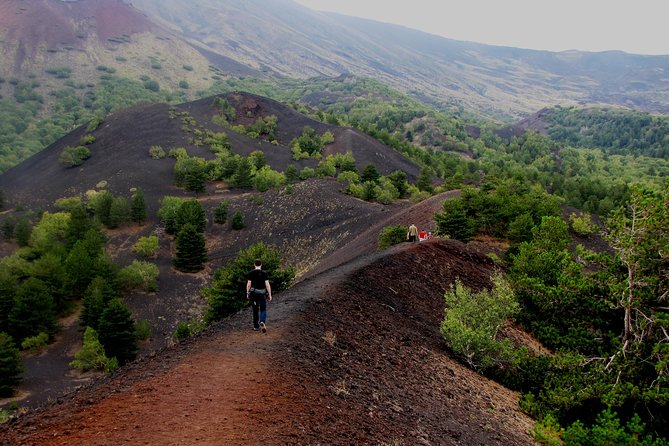 Etna excursion - Monti Sartorius makes Etna feel real, fast