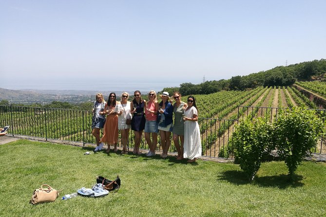 Etna Excursion and Lunch - Wine Tasting in Etna DOC Vinery - From Catania Up Toward Rifugio Sapienza (and why the ride matters)