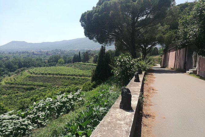 Etna Excursion and Lunch - Wine Tasting in Etna DOC Vinery - Lava flows, caves, and “active volcano” reality