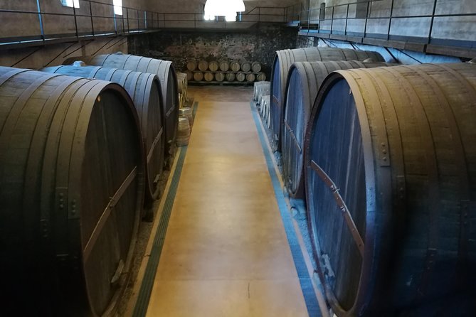 Etna Excursion and Lunch - Wine Tasting in Etna DOC Vinery - Who should book this Etna excursion (and who might not love it)