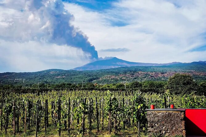 Etna excursion and wine tasting with Sicilian lunch - Small Group Limits: How Max 15 Changes Your Day