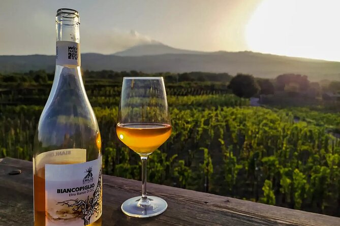 Etna excursion and wine tasting with Sicilian lunch - Buttonhole Side Craters in the Sartorius Mountains