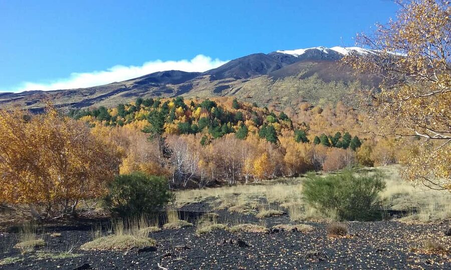Etna excursion from Taormina and surroundings - Grotta dei Ladroni: a lava tunnel visit with helmets and flashlights