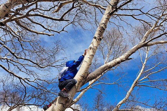 Etna Family Tour Excursion for families with children on Etna - A kid-friendly Etna route that fits a real family schedule