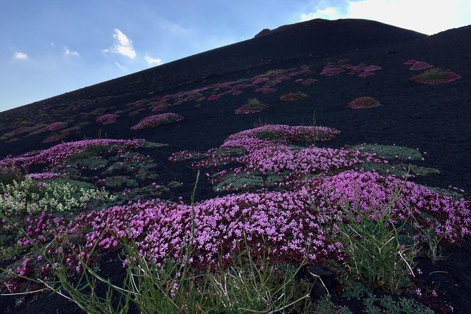 Etna Grantour - 4x4 & trekking - Private tour with lunch included - Trek time: the 8–10 km walk you’ll actually feel